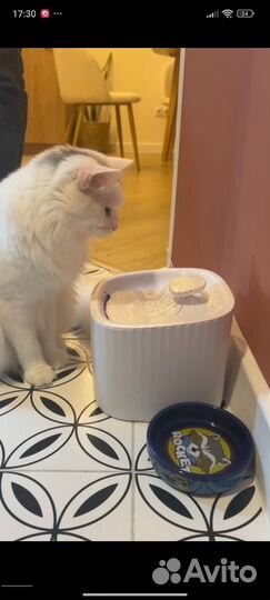 Фонтан поилка для кошек