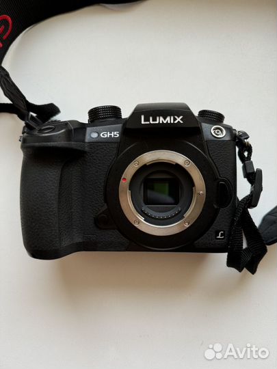 Panasonic lumix gh5