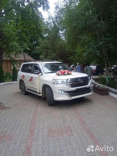 Прокат авто