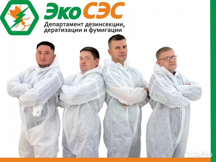 Обработка от плесени и грибка в квартире Мск и мо