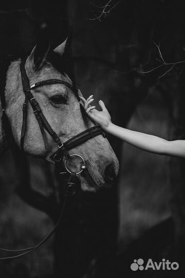 Фотограф, видеограф