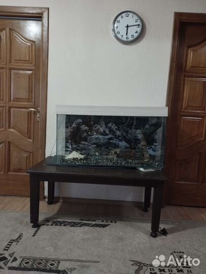 Аквариумные рыбки