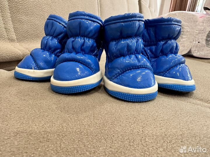 Ботинки для маленьких собак