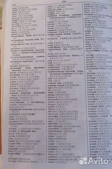 Большой русско-китайский словарь