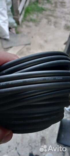 Тюльпаны провода