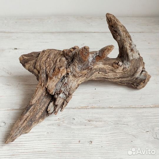 Дрифтвуд коряга