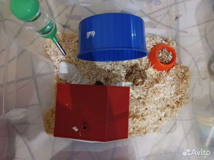 Клетка- (контейнер) для хомяка