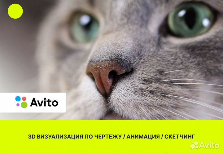 3D-визуализация