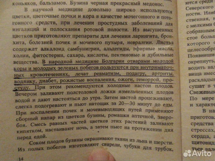 Плоды бузины чёрной,сушённые