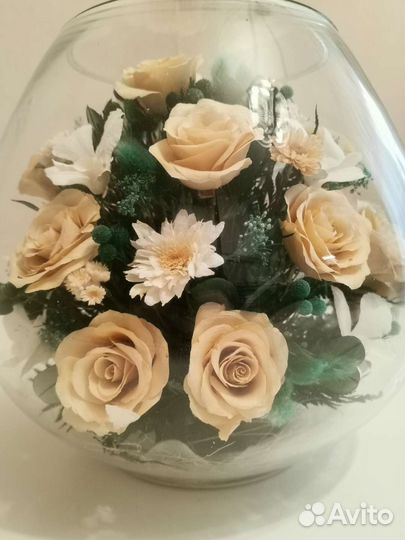 Живые цветы в вакууме