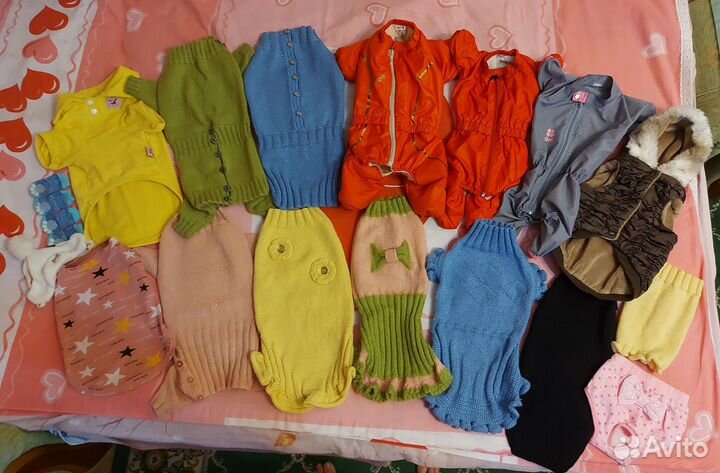 Одежда для собак мелких пород девочек