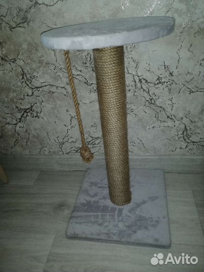 Когтеточка