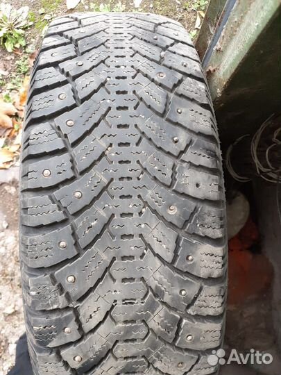 Cordiant Snow Cross 185/65 R15