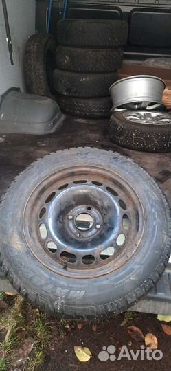 Matador MP 51 Sibir 2 195/65 R15