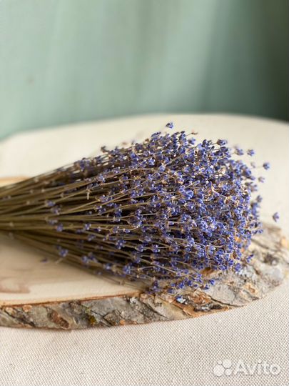 Букет лаванды