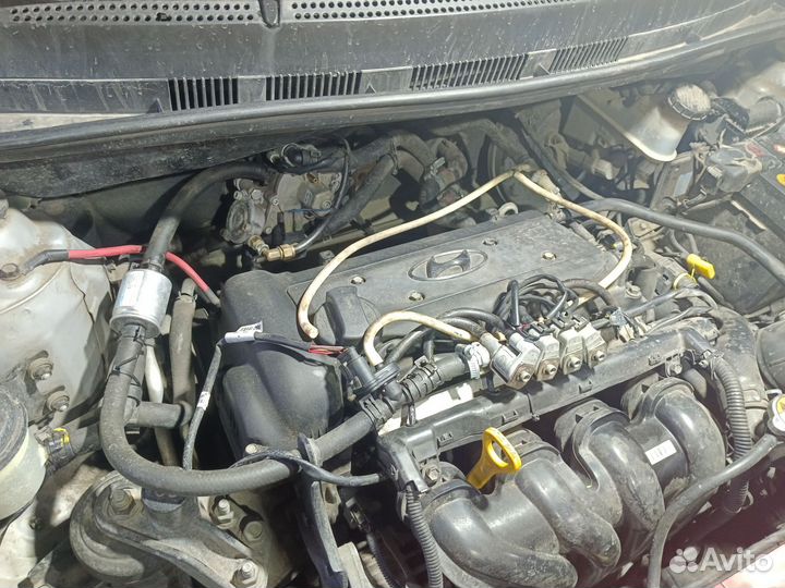 Гбо Диджитроник