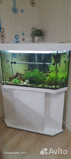 Аквариум с тумбой juwel