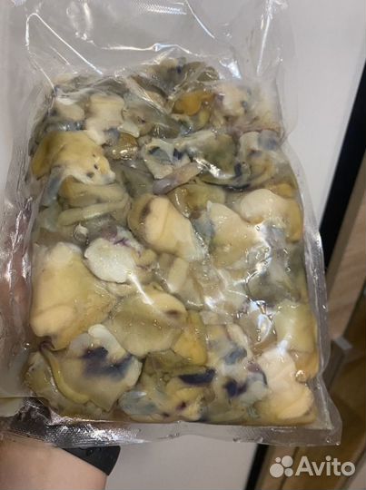 Мясо рапана сырое