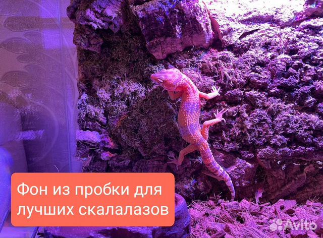 Фон для террариума из пробковой коры 3D объемный