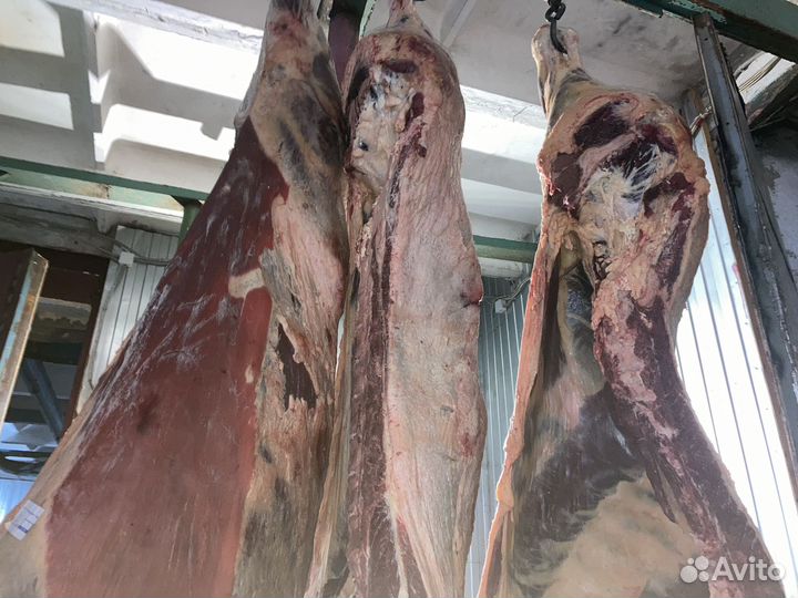 Мясо говядина