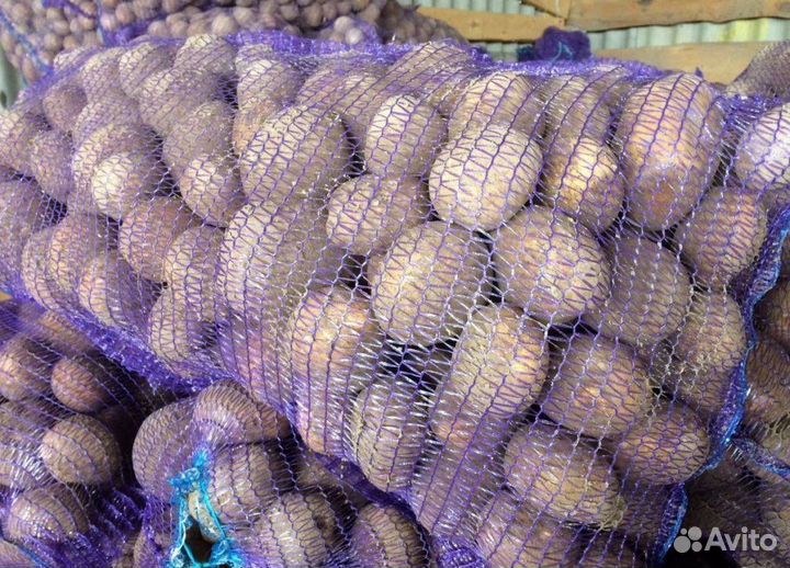 Картофель в сетках с доставкой