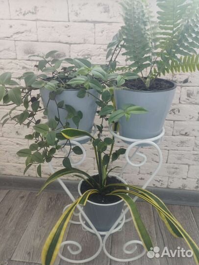 Цветочная композиция