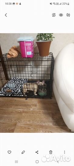 Клетка вольер для собак