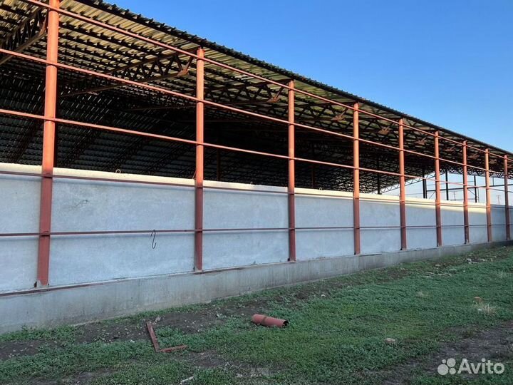 Возведение ангаров, навесов, складов