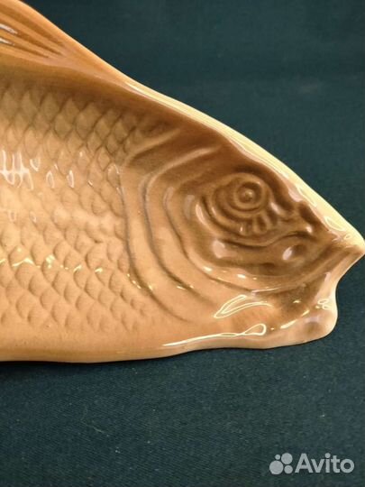 Селёдочница Рыба