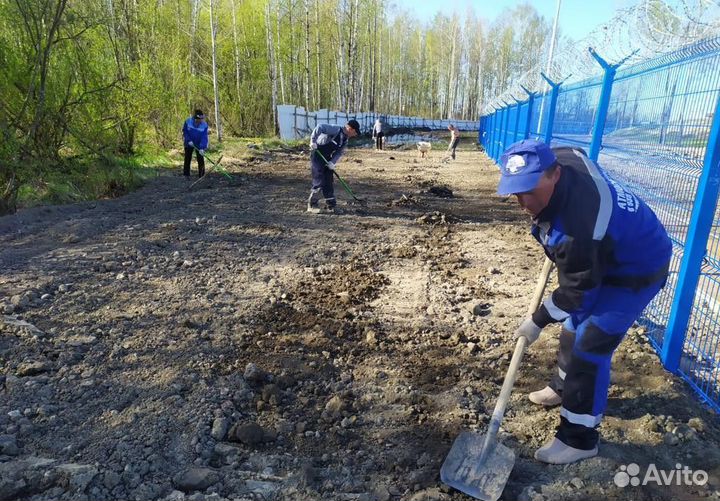 Рабочие в Питере 24/7