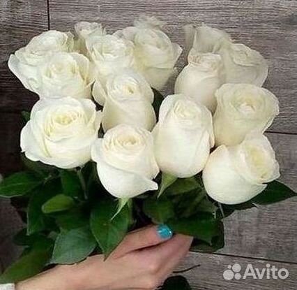 Высокие розы Гигантские Розы 150 160 170 180 190см