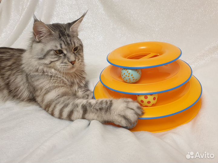 Игрушка для кошек пирамидка с шариками