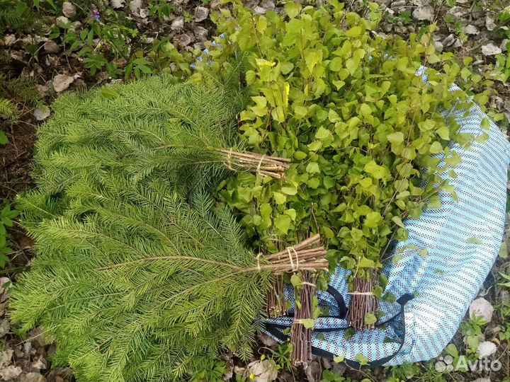 Веники для бани