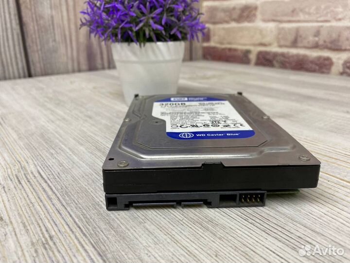 Жесткий диск Western Digital 320gb WD Blue
