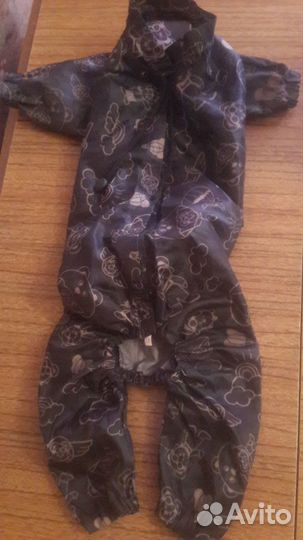 Одежда для собак