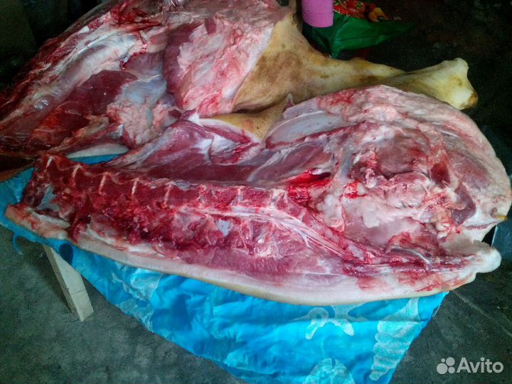 Мясо свинина домашняя