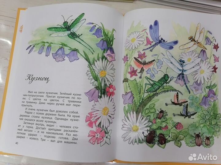 2 книги Про рыжего кота Ваську, Чучело гороховое