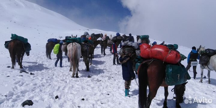 Алтай,туризм, конный поход. Гора Белуха