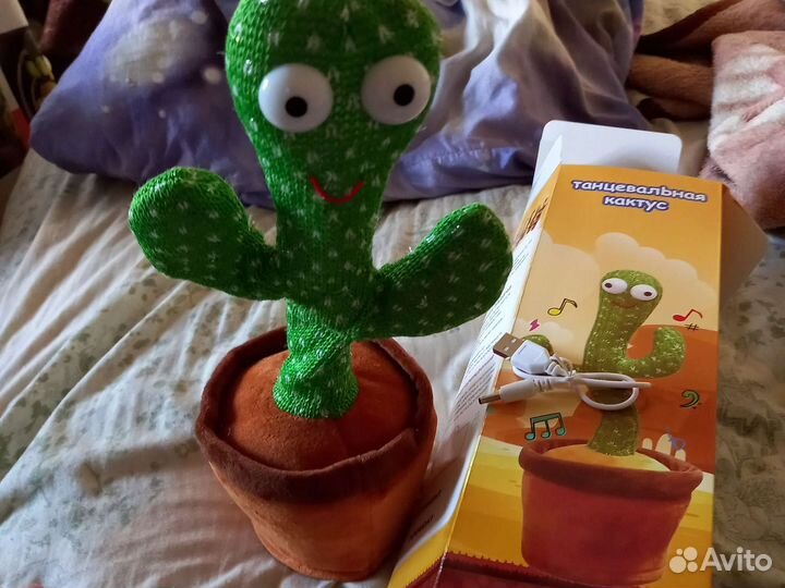 Говорящий кактус