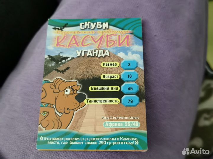 Карточка
