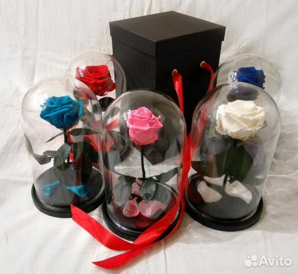Роза в колбе в ассортименте