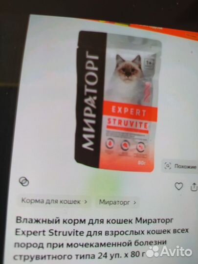 Влажный корм для кошек