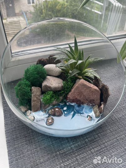 Флорариум/суккуленты/подарок