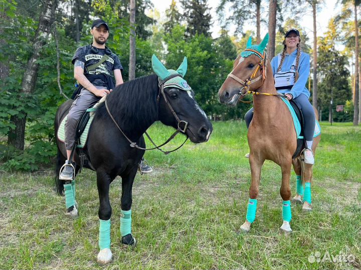 Конные прогулки