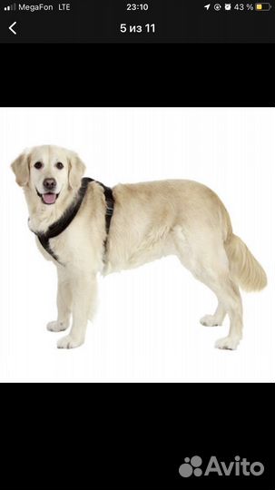 Шлейка для средней собаки