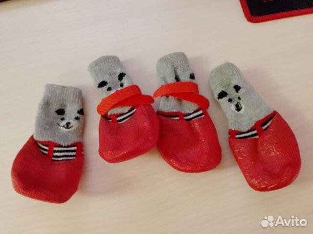 Обувь для мелких пород собак и кошек