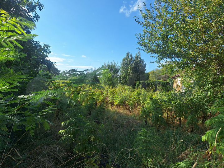 Участок 40 сот. (ИЖС)