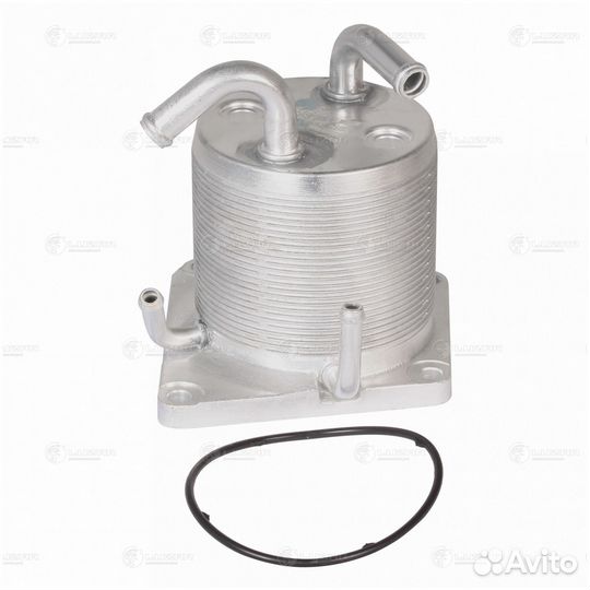 Радиатор масляный Nissan X-Trail T31 (2007-2011) l