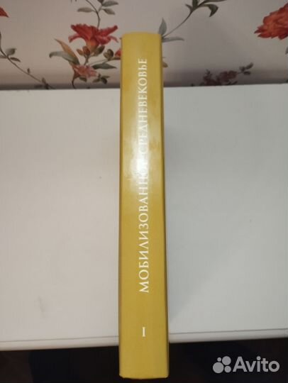 «Мобилизованное средневековье» Т1 изд. СПбГУ