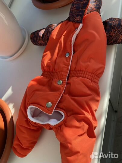 Комбинезон для маленькой собаки мальчика